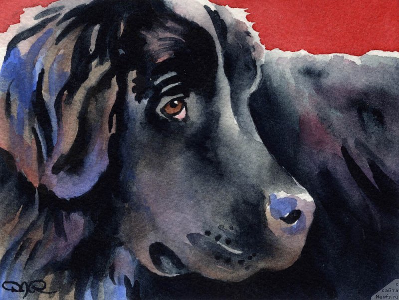 Фотография № 176018