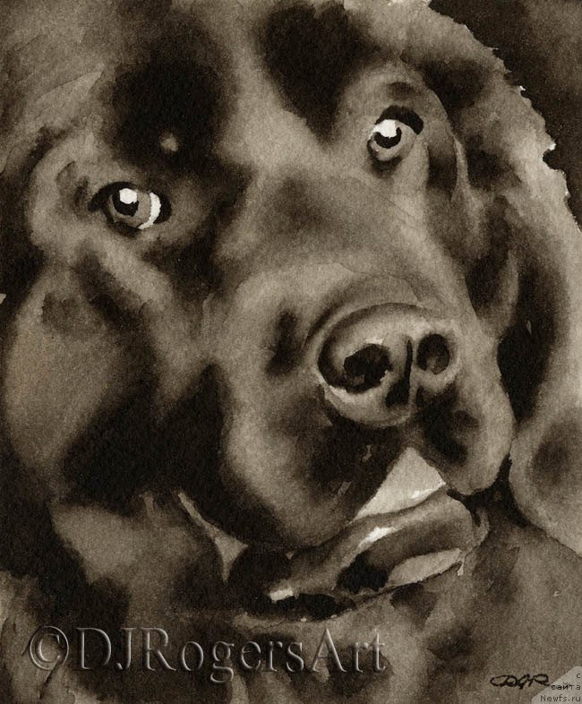 Фотография № 176019