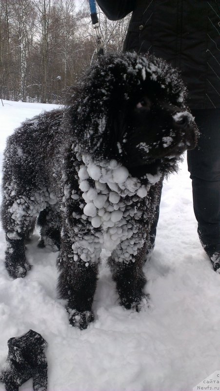 Фотография № 176038