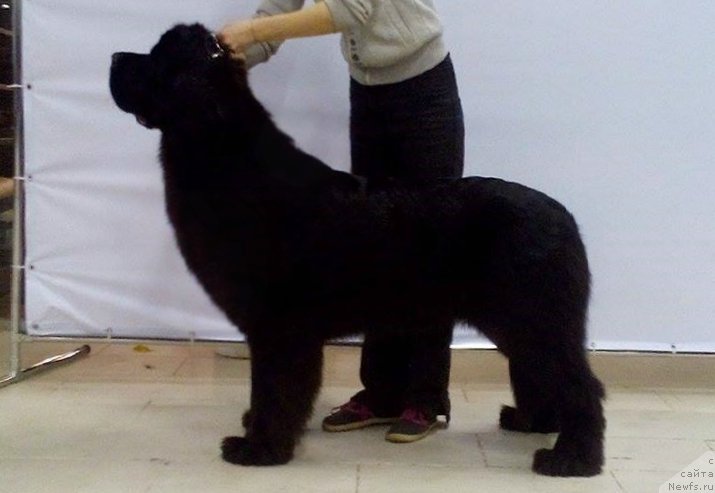 Фотография № 176095