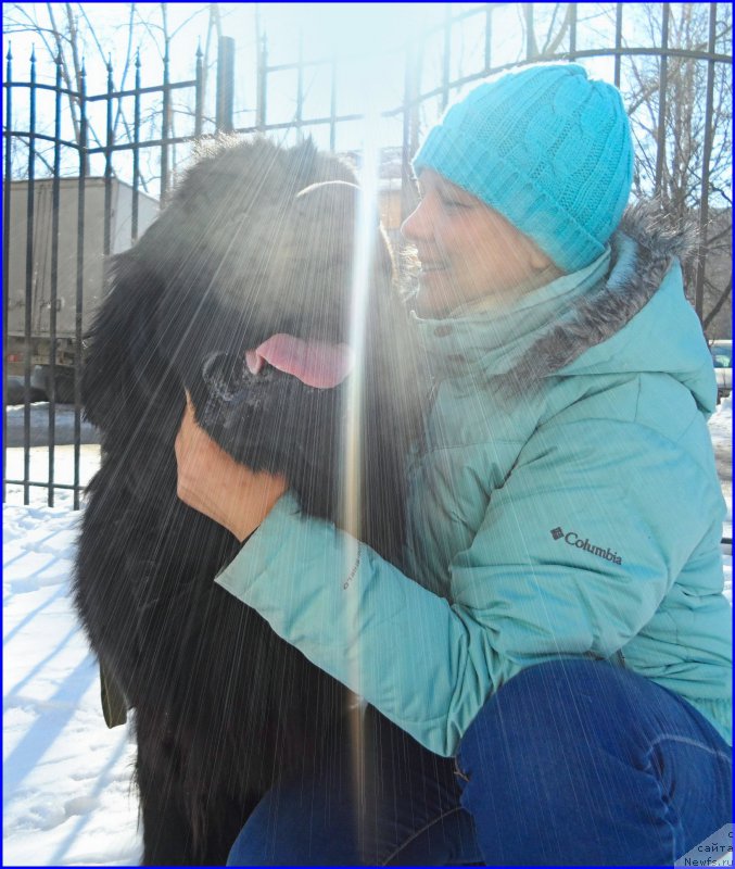 Фотография № 176100