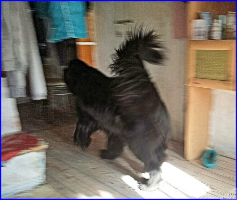 Фотография № 176105