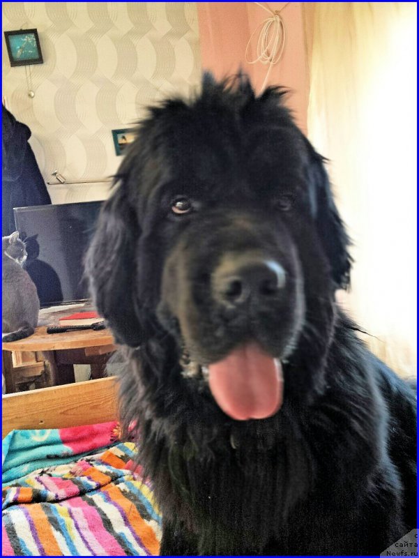 Фотография № 176109