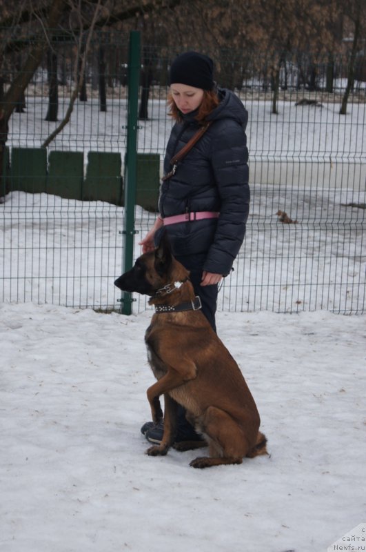 Фото: Мария Бойкова, Зевс