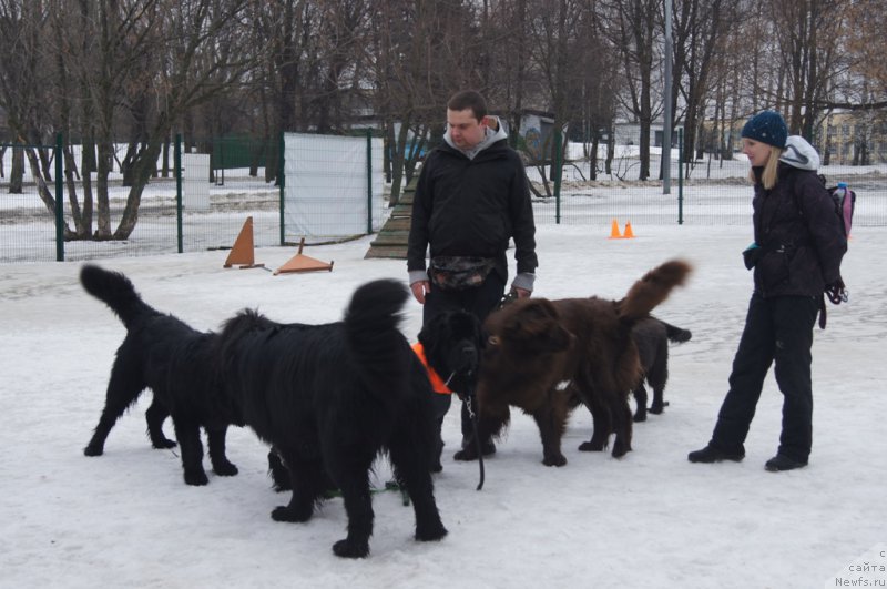 Фото: Юлия Якушева