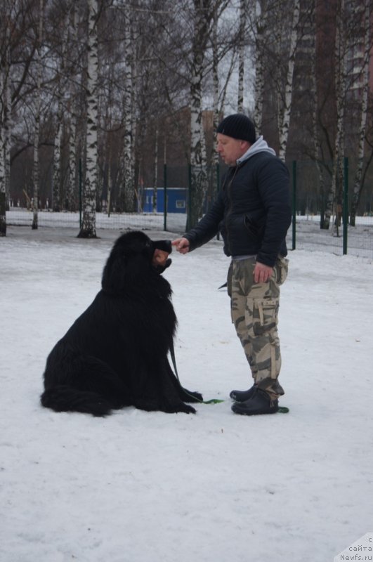 Фотография № 176135