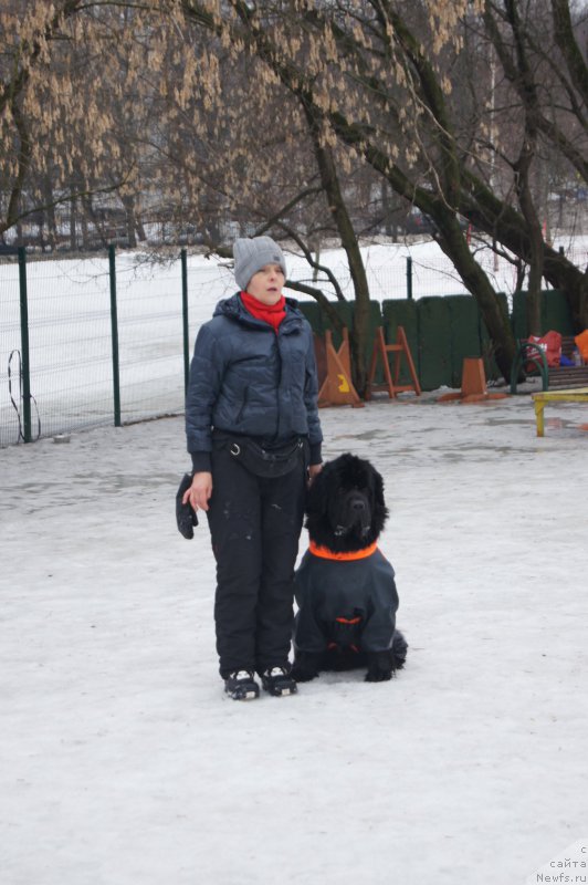 Фотография № 176144