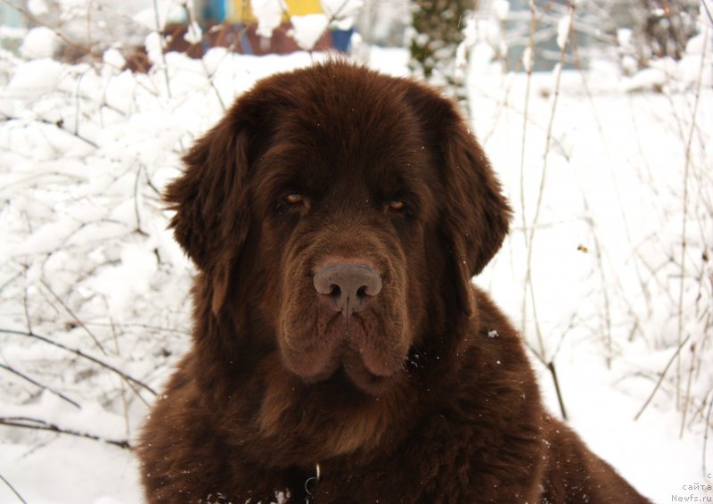 Фотография № 176149