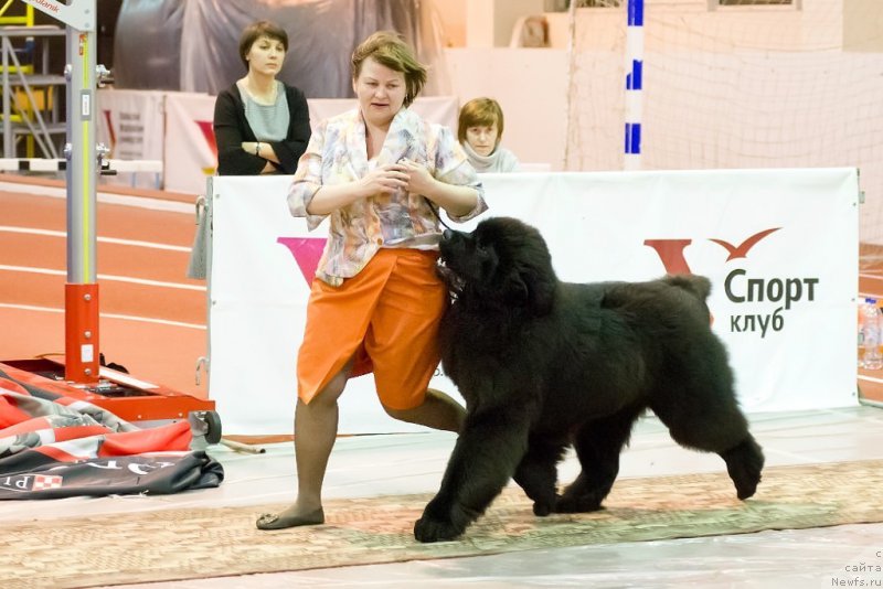 Фотография № 176163