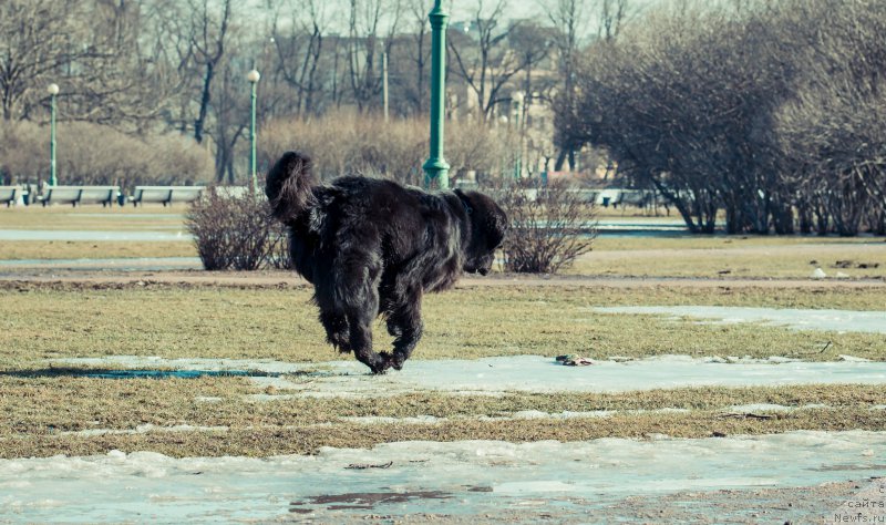 Фотография № 176189