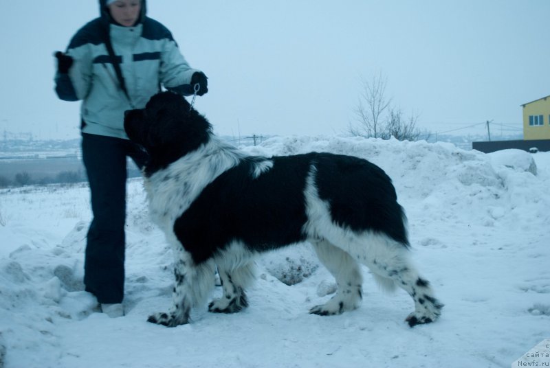 Фотография № 176199