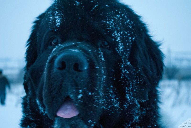 Фотография № 176201