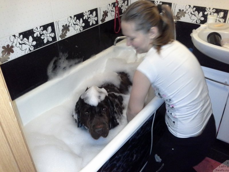 Фотография № 176203