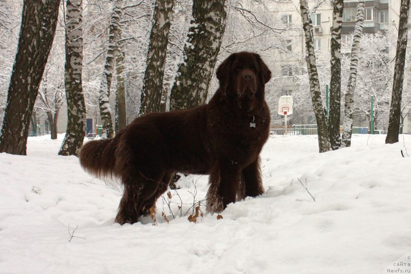 Фотография № 176204