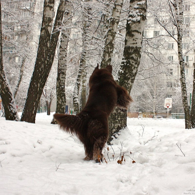 Фотография № 176206