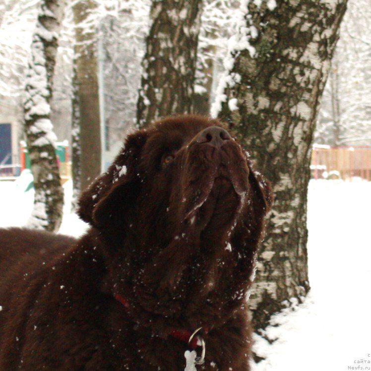 Фотография № 176207