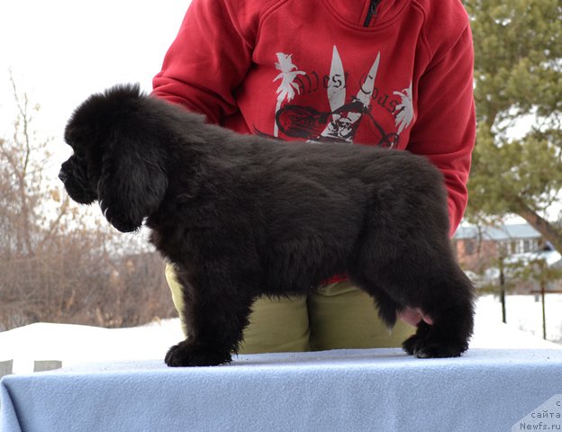 Фотография № 176255