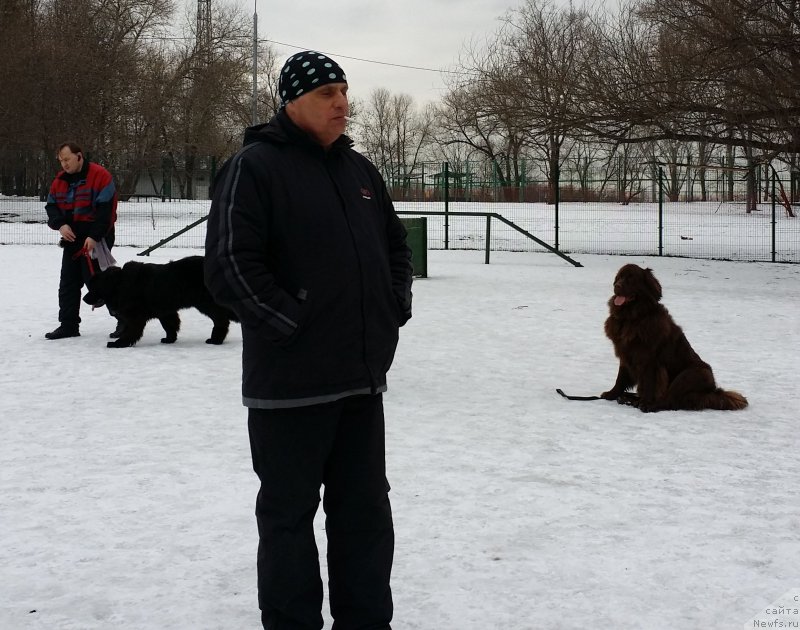 Фото: Александр Бурмистров