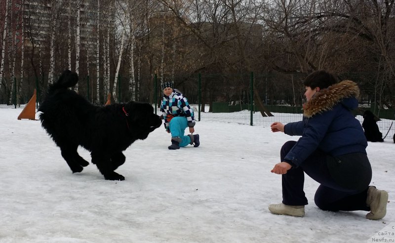 Фото: Елена Богданова, Наталья Смазчикова, Бэк