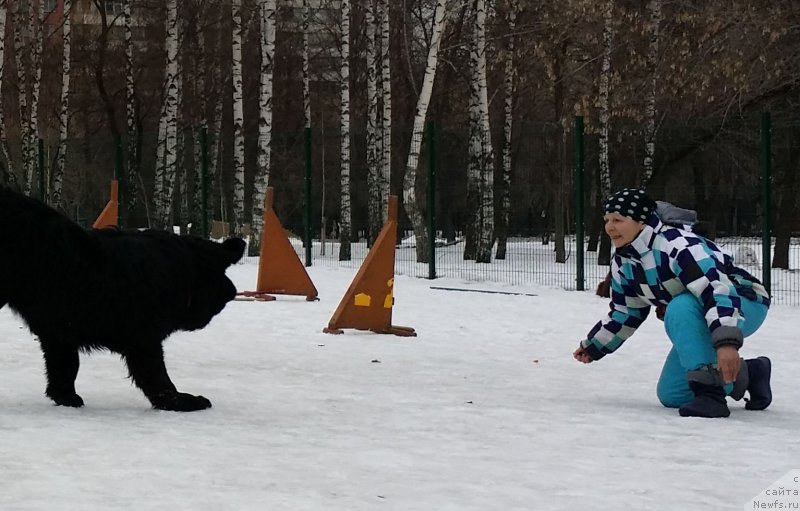 Фото: Наталья Смазчикова, Бэк