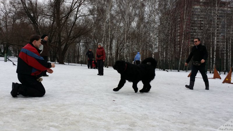 Фото: Леонид, Бэк, Кирилл