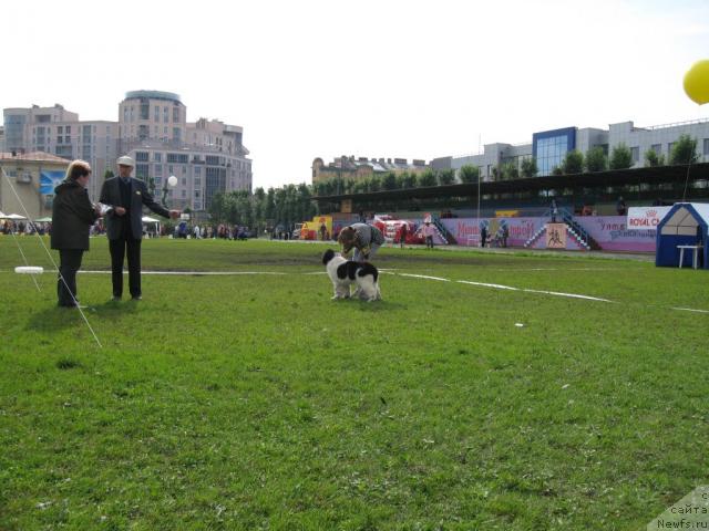 Фотография № 17633