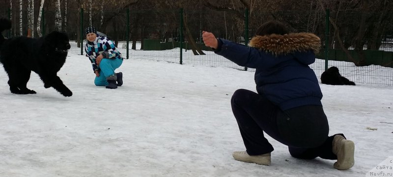 Фото: Ольга Музычук