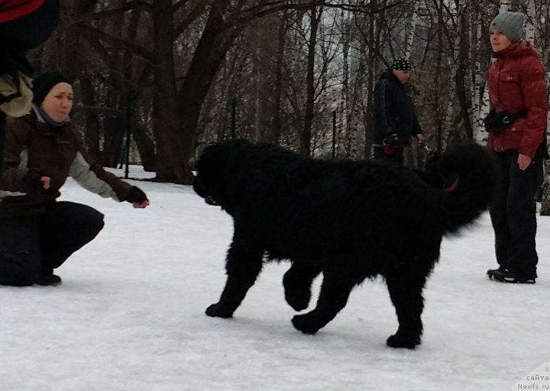Фото: Александра Фетисова, Бэк