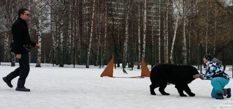 Фото: Наталья Смазчикова, Кирилл, Бэк