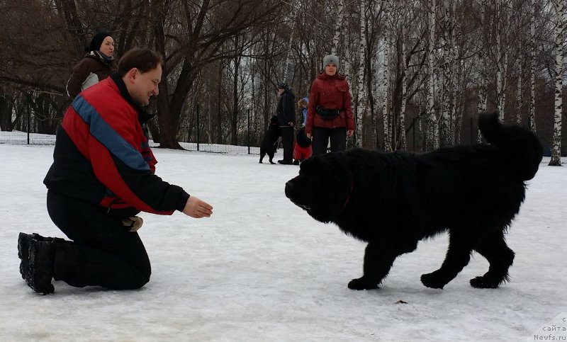 Фото: Ольга Музычук