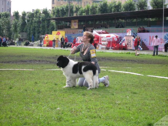 Фотография № 17634