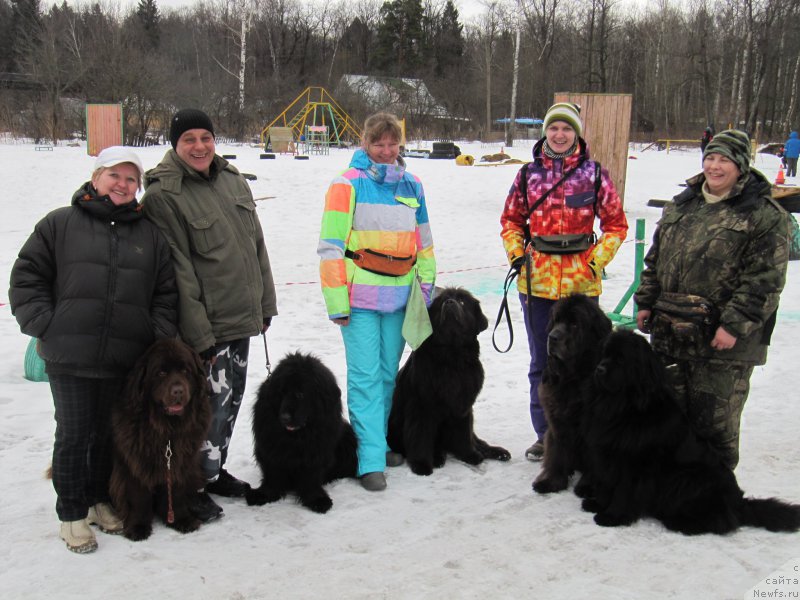 Фотография № 176358