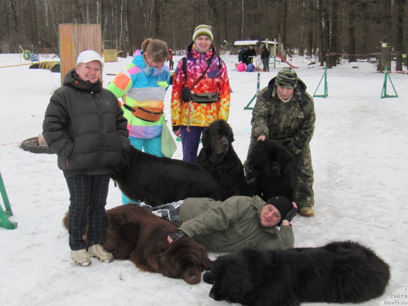 Фотография № 176359