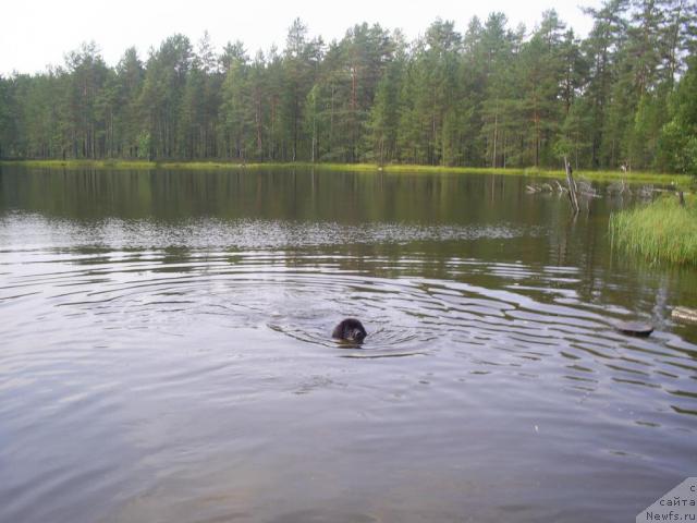 Фотография № 17636