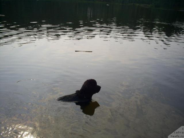 Фотография № 17637