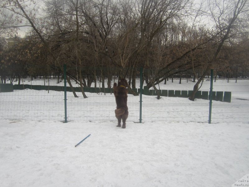 Фото: Наталья Смазчикова