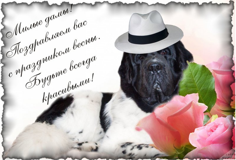 Фотография № 176371