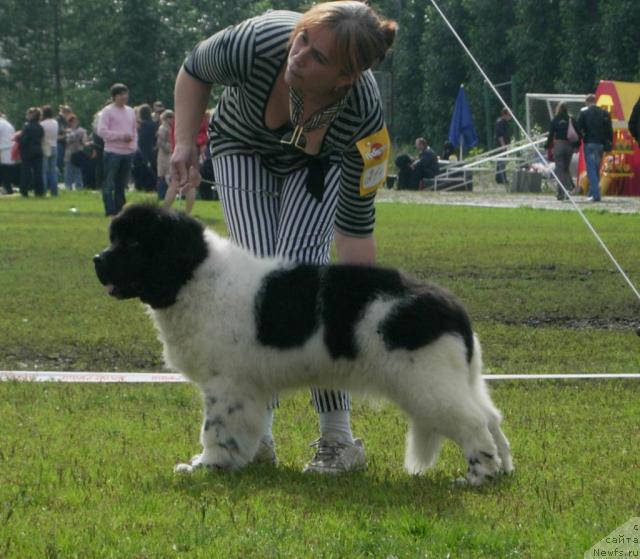 Фотография № 17639