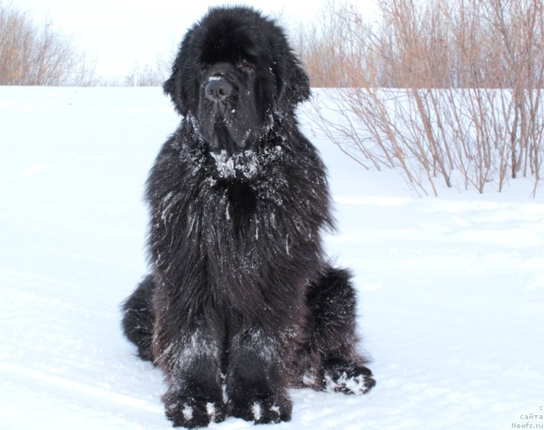 Фотография № 176392