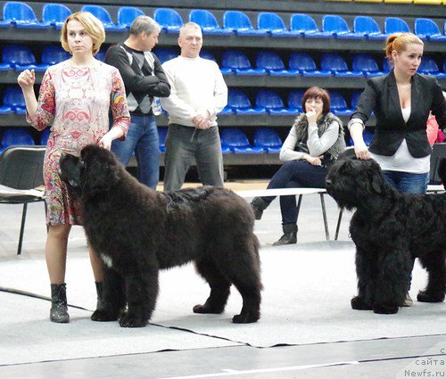 Фотография № 176396