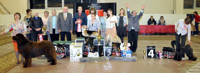 Фотография № 176426