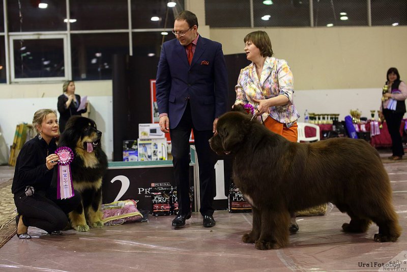 Фотография № 176427