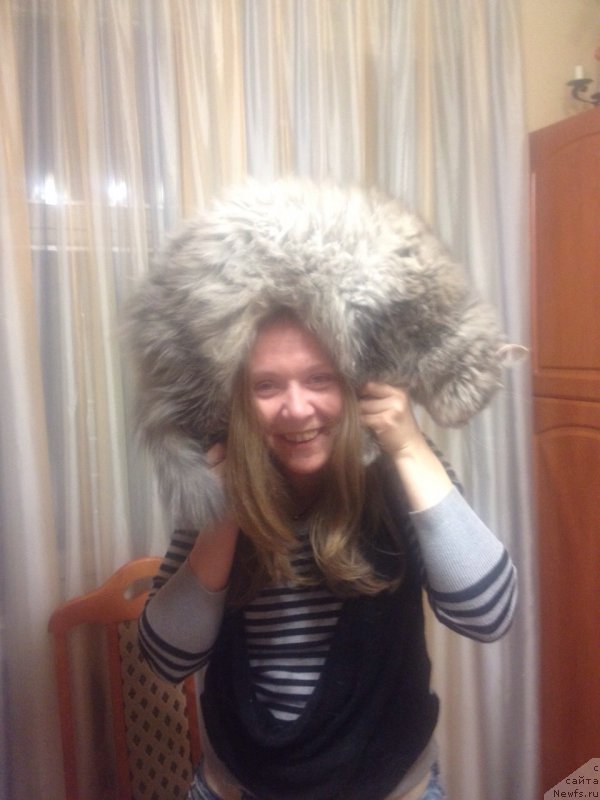 Фотография № 176473