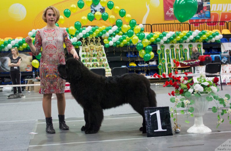 Фотография № 176519