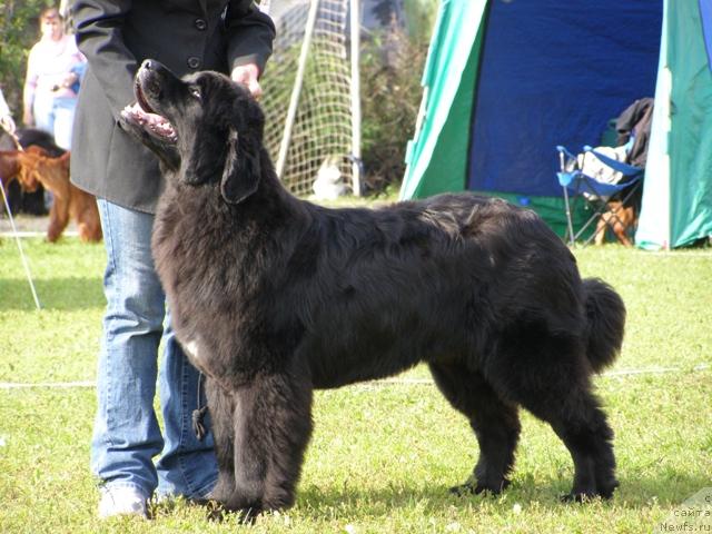 Фотография № 17655