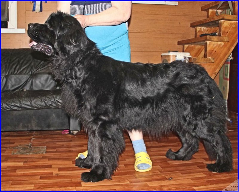 Фотография № 176572