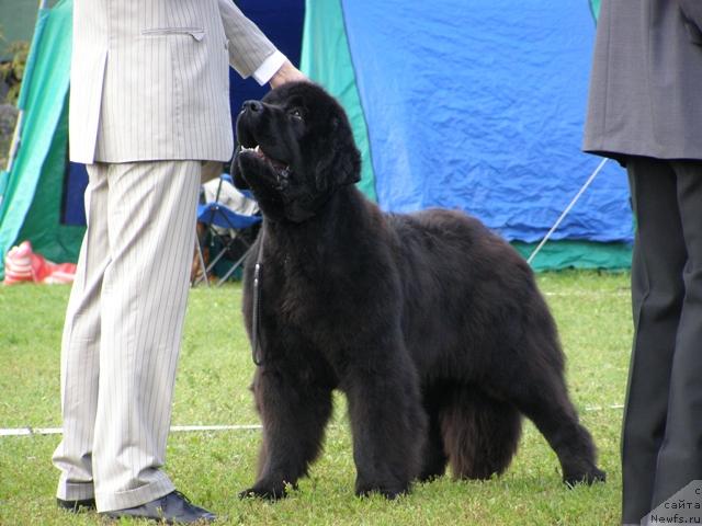 Фотография № 17658