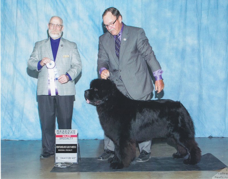 Фотография № 176582