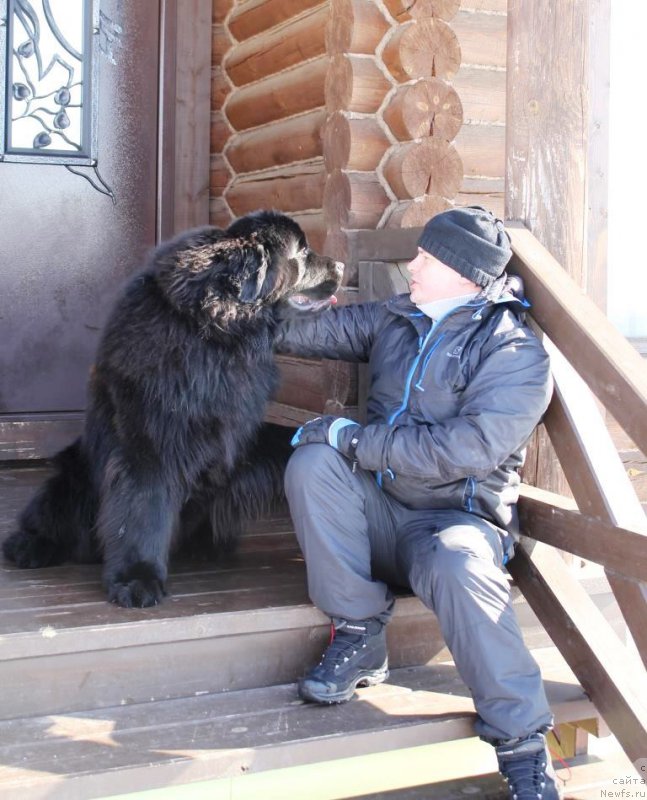 Фотография № 176586