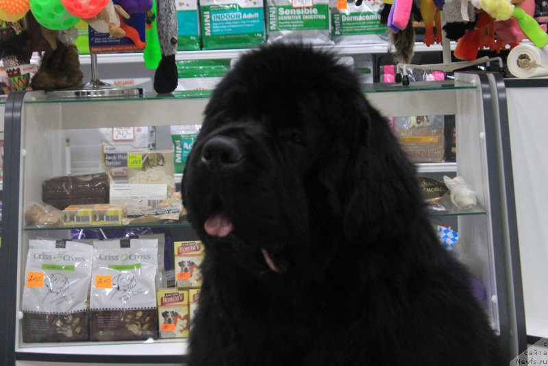 Фотография № 176600